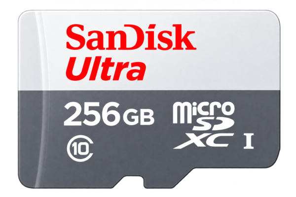 Memoria Micro SD SanDisk Ultra 100 MB/s C10 256GB